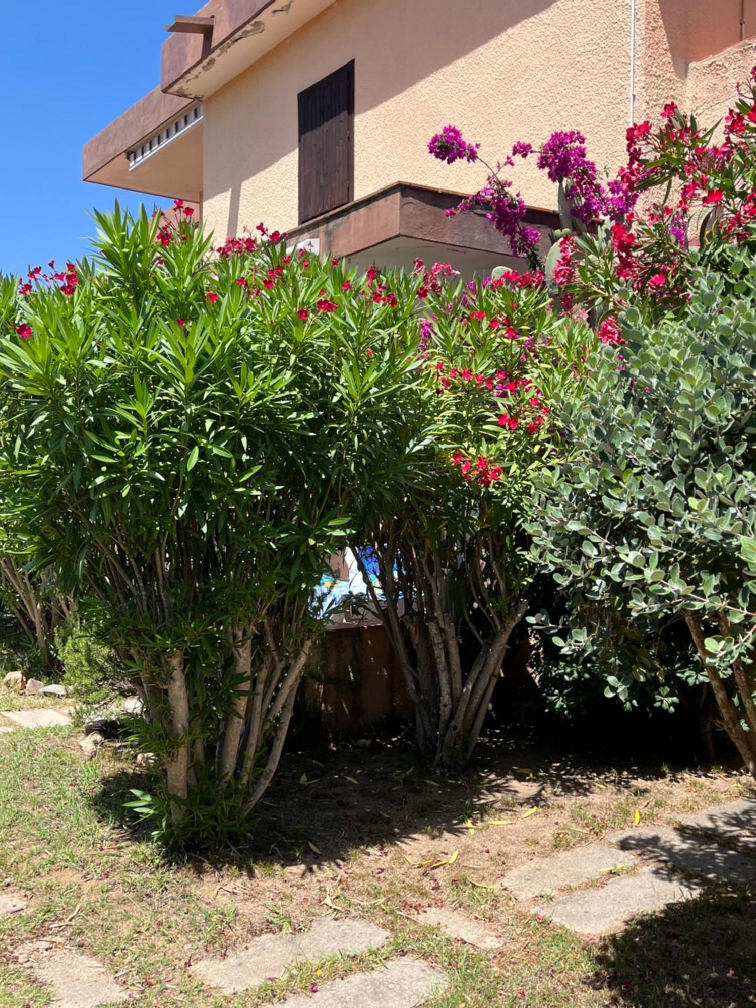Bilocali Residenza Mediterranea Cannigione Bagian luar foto